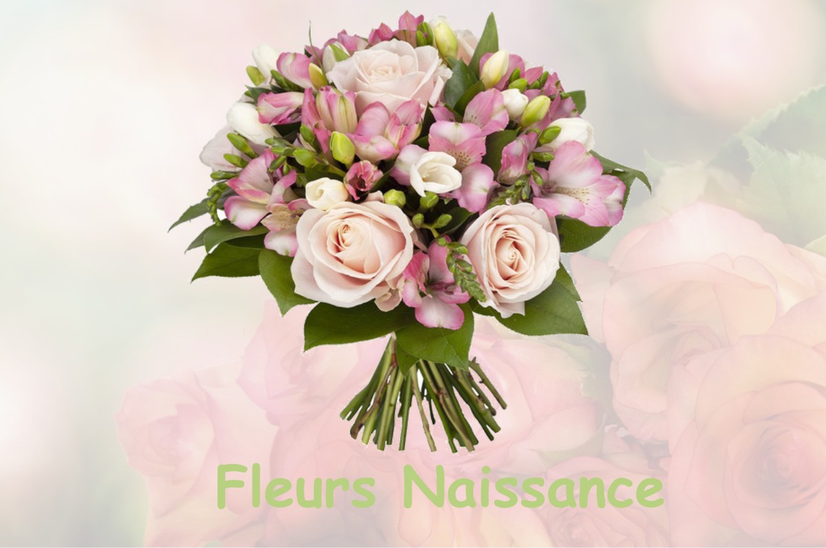 fleurs naissance SAINT-CERNIN-DE-LARCHE